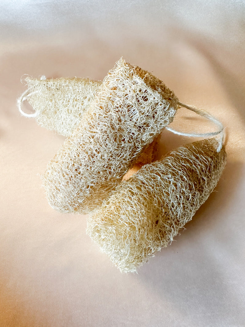 Natural Loofah Sponge