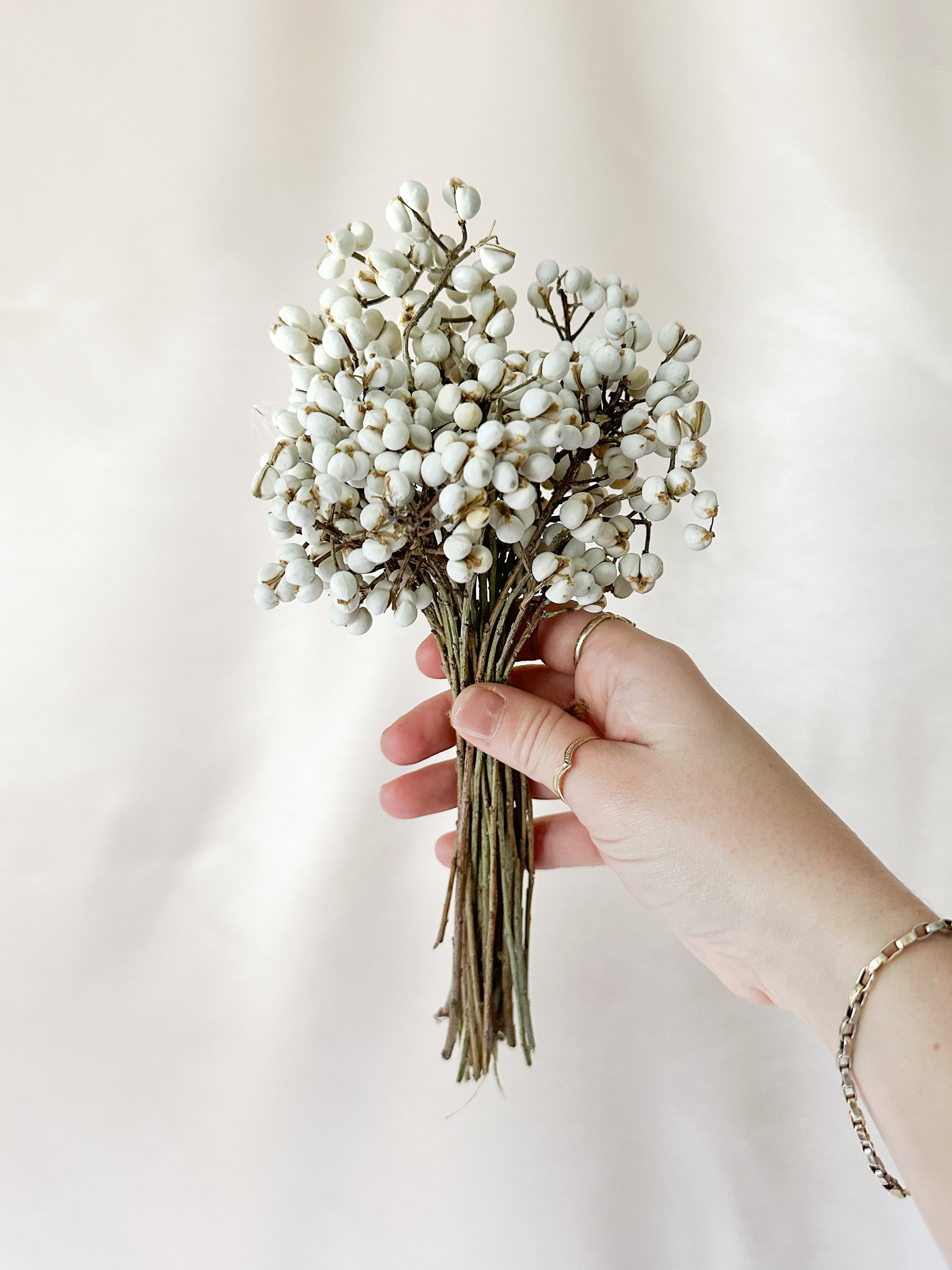  Tallow Berries Dried, Natural Stem Wedding Floral