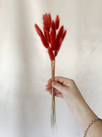 Mini Cherry Red Bunny Tail Bunch