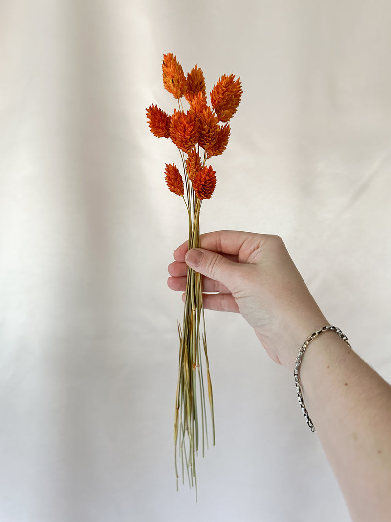 Mini Orange Gem Grass Bunch