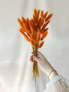 Vintage Orange Bunny Tails