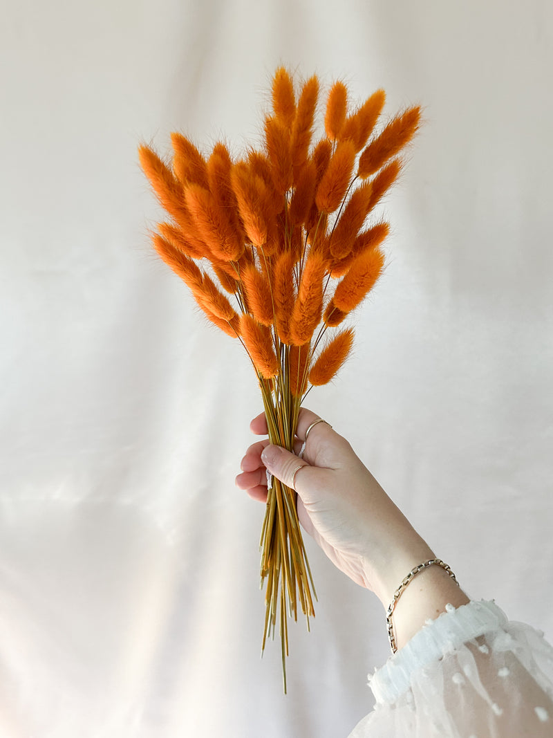 Vintage Orange Bunny Tails