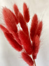 Mini Cherry Red Bunny Tail Bunch