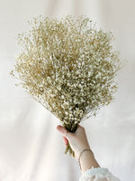 Natural Baby’s Breath Bunch