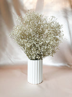 Natural Baby’s Breath Bunch