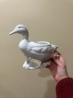 Adorable Duck Planter