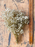 Mini Baby's Breath Bunch