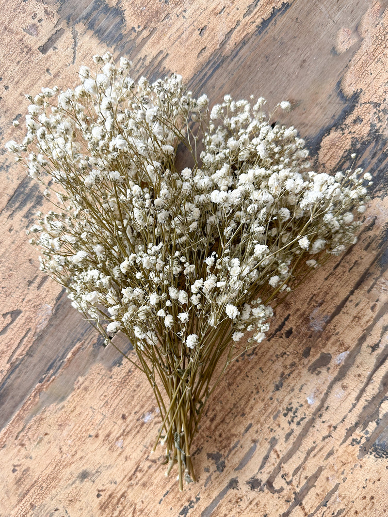 Mini Baby's Breath Bunch