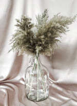 Sand Pampas