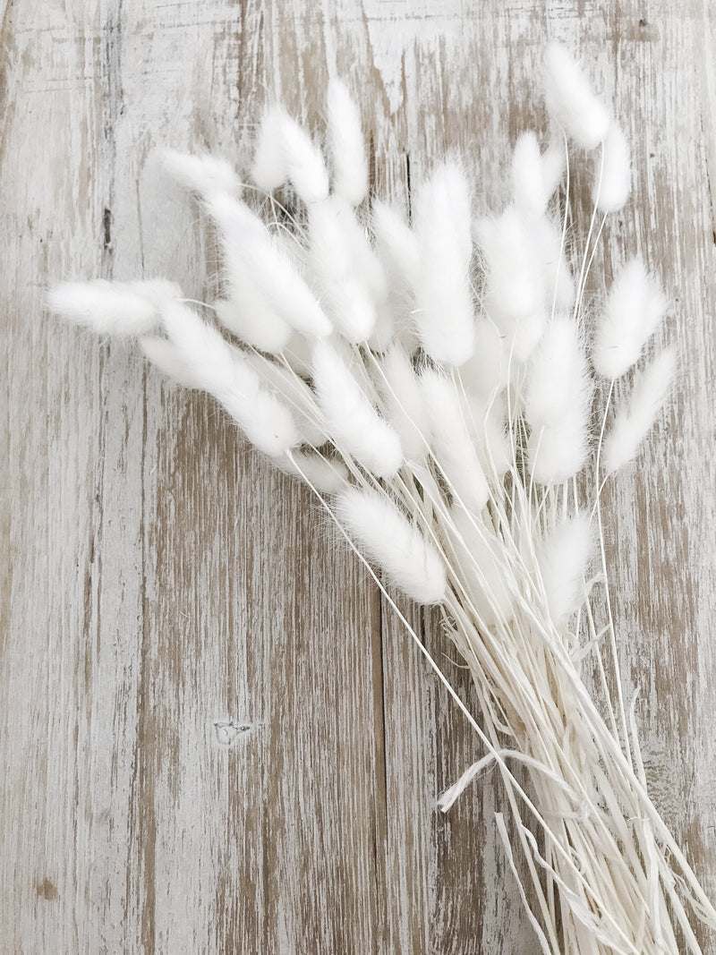 Ivory Bunny Tails