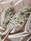Sand Pampas