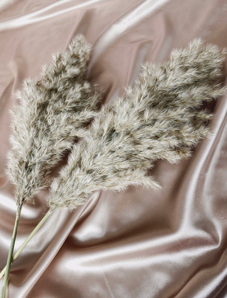 Sand Pampas
