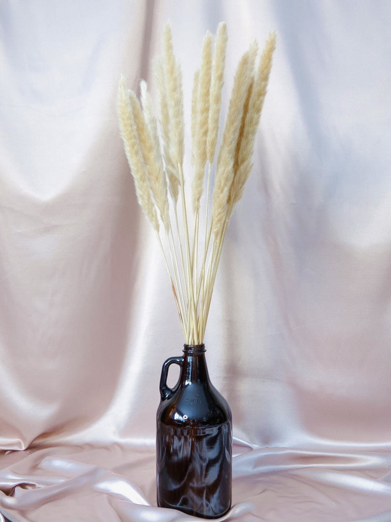 Amber Growler