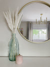 White Mini Pampas
