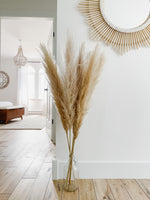 Large Blondie Pampas