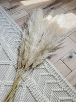 Large Blondie Pampas