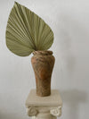 Medium Palm