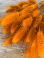 Vintage Orange Bunny Tails