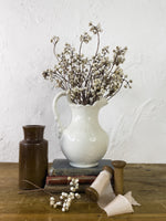 Tallow Berries
