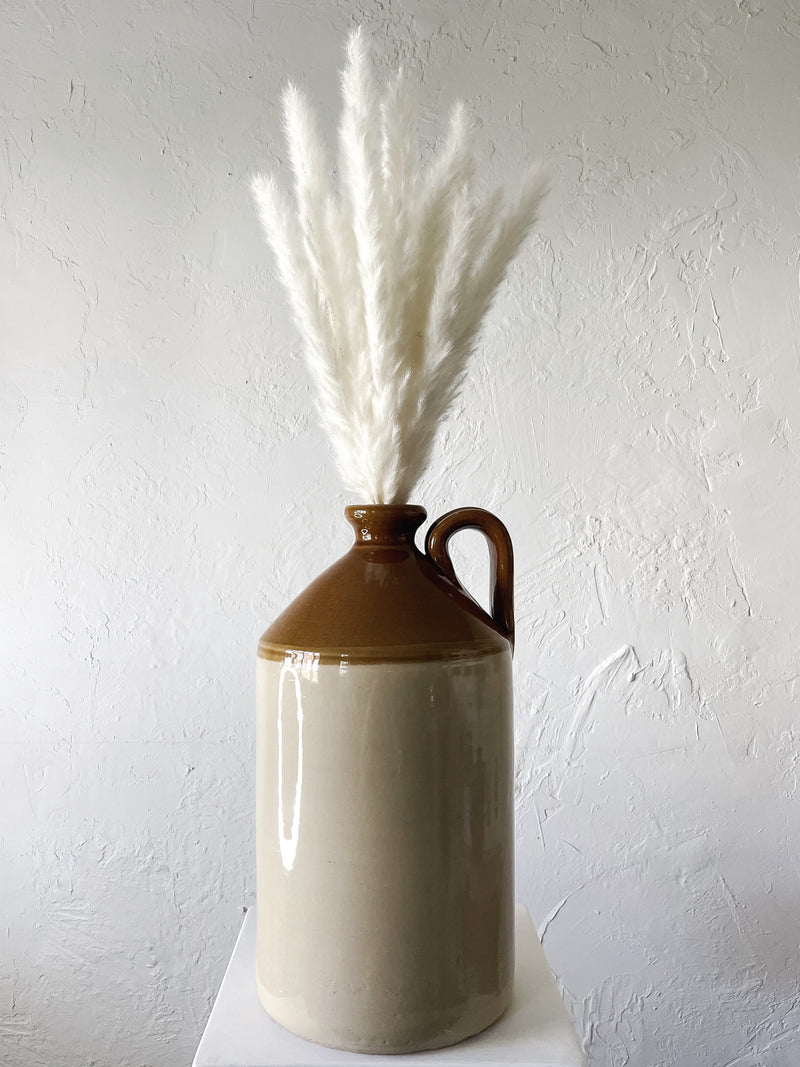White Mini Pampas