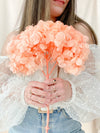 Coral Hydrangea