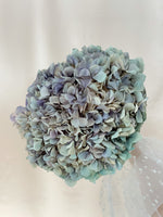 Blue Ombré Hydrangea