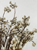 Tallow Berries