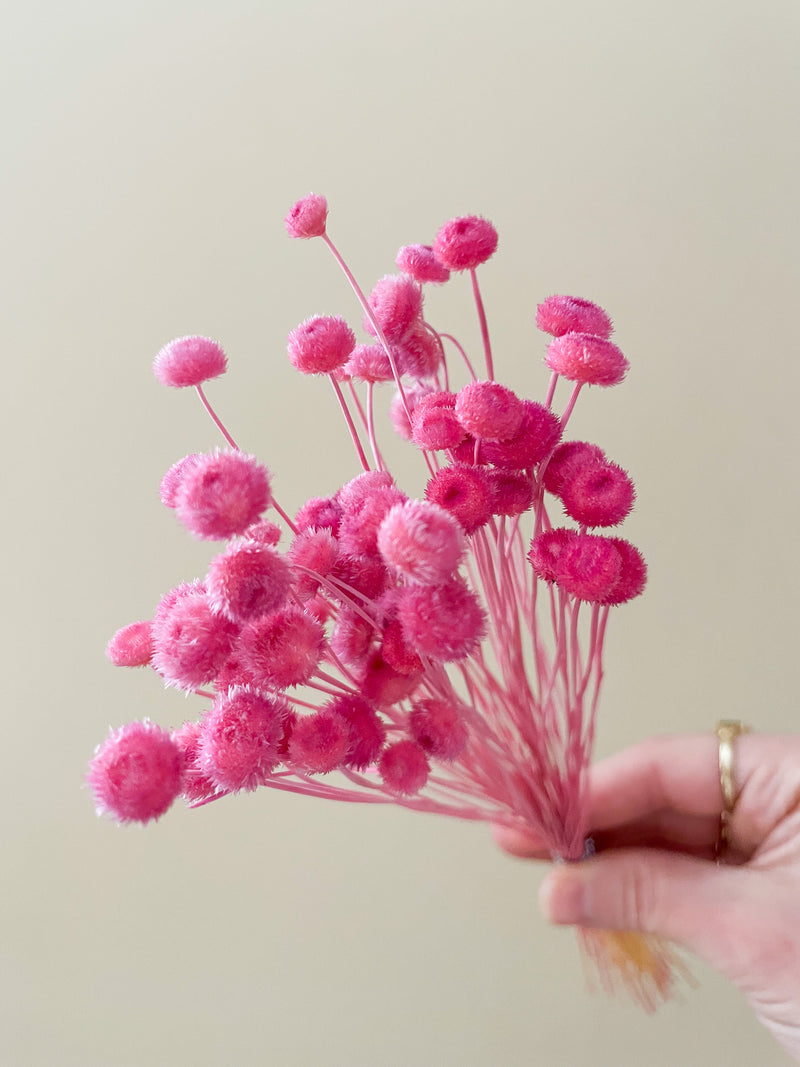 Fuschia Pink Button Flower
