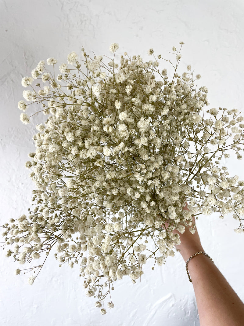 Natural Baby’s Breath Bunch