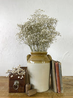 Natural Baby’s Breath Bunch