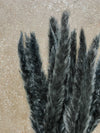 Black Mini Pampas