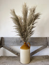 Dusk Pampas
