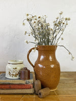 Winged Everlasting