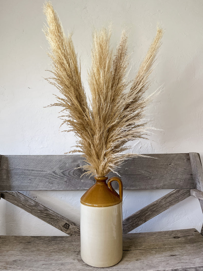 Sun Pampas