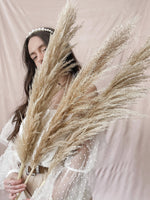 Sun Pampas